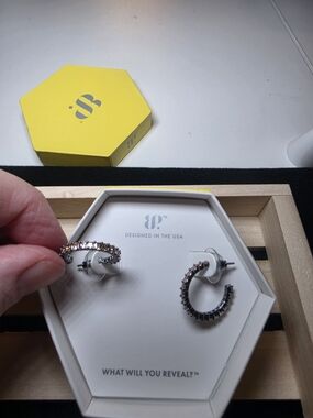Hematte And Smokey Topaz Hoop Earrings